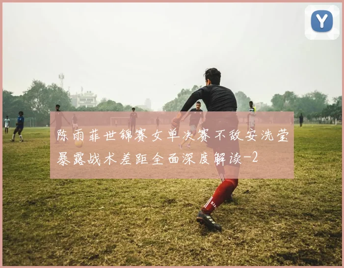 陈雨菲世锦赛女单决赛不敌安洗莹暴露战术差距全面深度解读