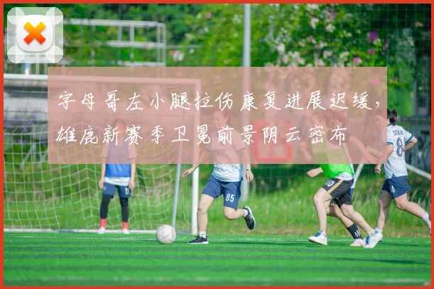 字母哥左小腿拉伤康复进展迟缓，雄鹿新赛季卫冕前景阴云密布